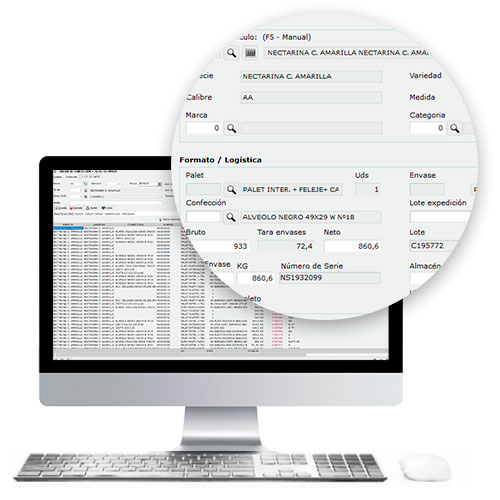 Software ERP 1