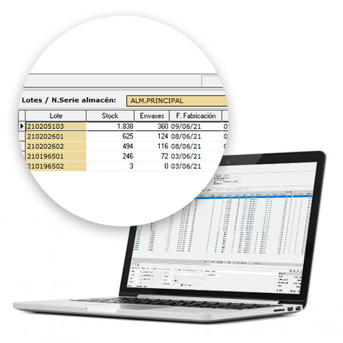 Software ERP para stock