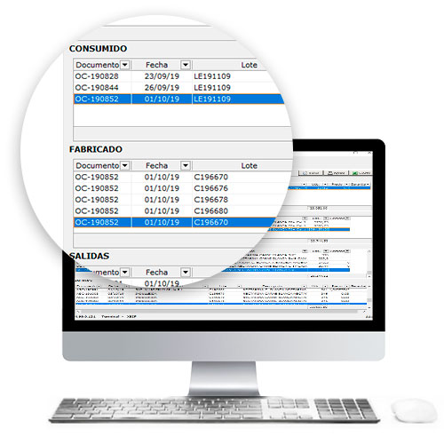 Sistema ERP