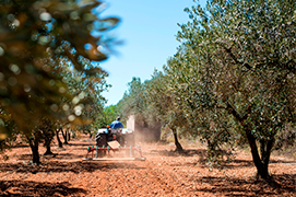 ERP para el sector agroalimentario